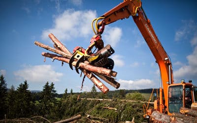 Forestry